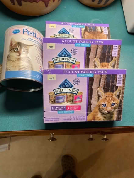 Photo of free Kitten food (Northgate) #1