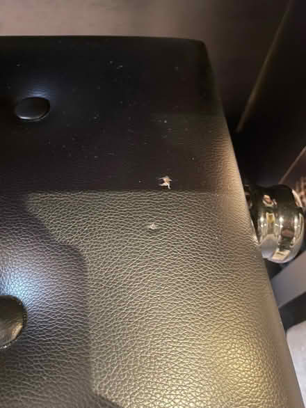 Photo of free Gear 4 Music Digital Piano (Chiswick) #3