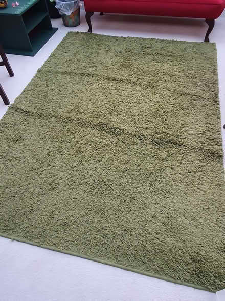 Photo of free Large green rug (Seaton Delaval NE25) #1