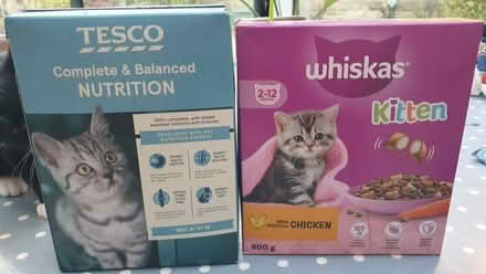 Photo of free Dry kitten food (Broomhill S10) #1