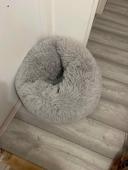 Photo of free Small dog/cat bed (OX14) #1