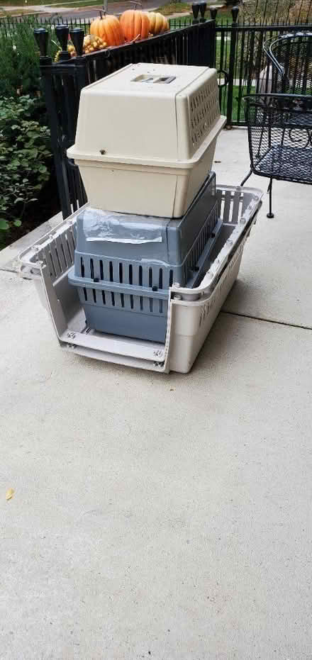 Photo of free Dog cat crates (East side Milwaukee) #1