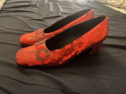 Photo of free Ruby slippers (Coventry CV6) #1