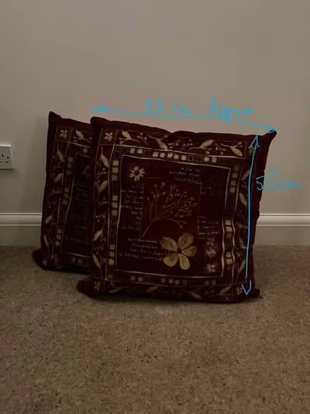 Photo of free Pair large burgundy cushions (Dunstable LU5) #1