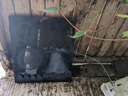 Photo of free Bosch Electric Hob (Llanymynech) #1