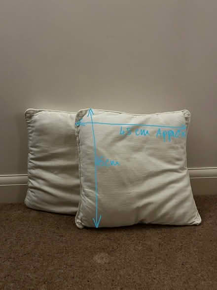 Photo of free Pair cushion 45 x 45 cm (Dunstable LU5) #1