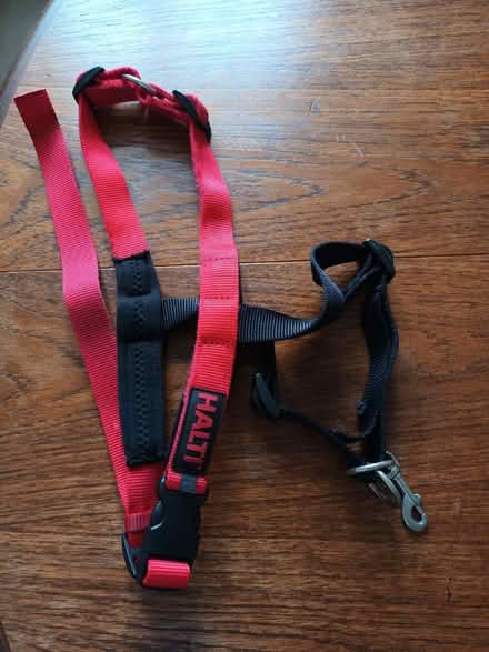 Photo of free Halti dog harness (Motspur park) #1
