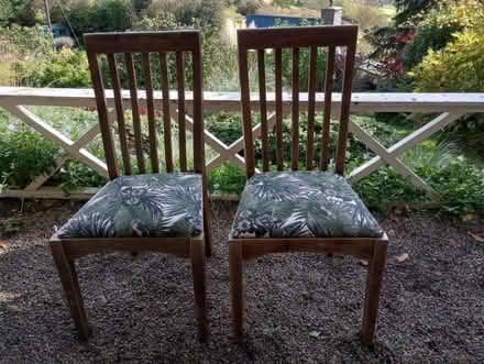 Photo of free Two dining chairs (Hurdley SY15) #1