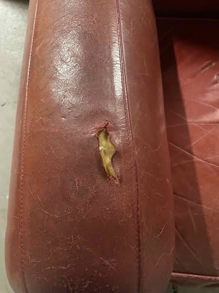 Photo of free Leather chair (Twin Creeks) #1