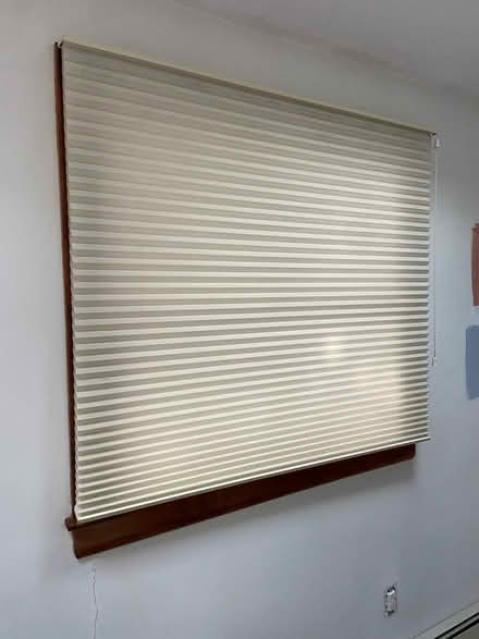 Photo of free Four Hunter Douglas Duette Shades (Arlington Near Stratton) #1