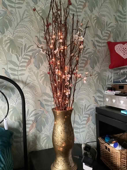 Photo of free vase with light up twig lights (Southport PR9) #1