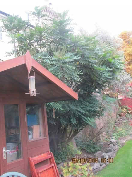 Photo of free Garden Shed (Malvern WR14) #1