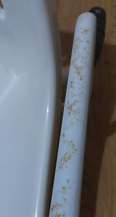 Photo of free Myco swivel bather chair (BH9) #2