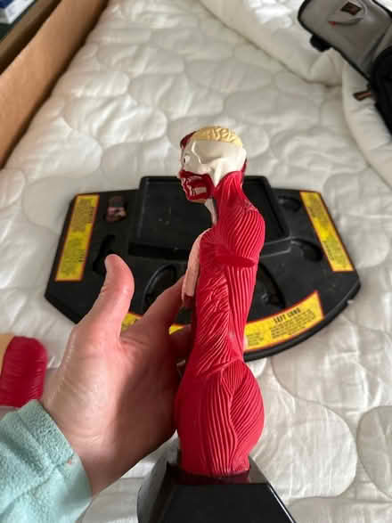 Photo of free Anatomy toy (Green Brook) #4