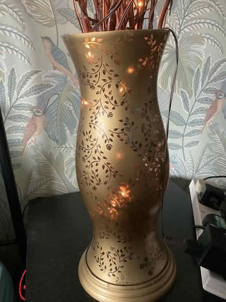 Photo of free vase with light up twig lights (Southport PR9) #2