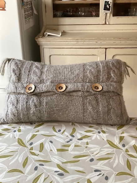 Photo of free Two cushions (Teddington TW11) #1