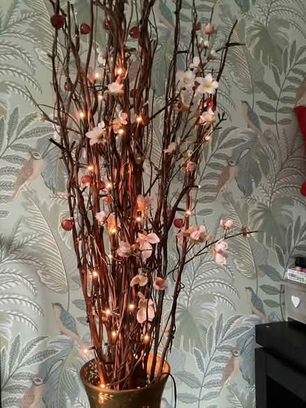 Photo of free vase with light up twig lights (Southport PR9) #3