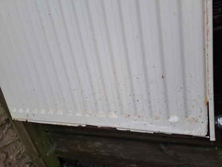Photo of free Radiator ,pipes (Bowthorpe NR5) #2