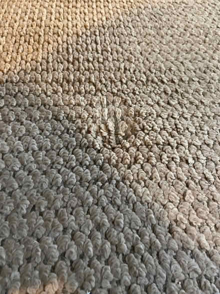 Photo of free 10’ x 8’ Area Rug (Arlington Near Stratton) #2