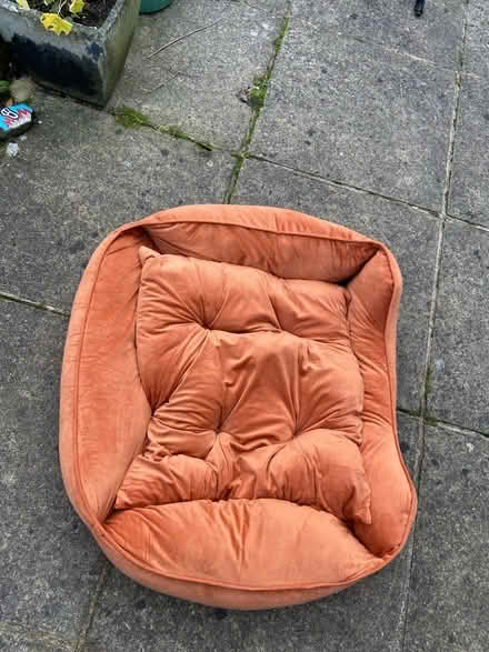Photo of free Large dog bed (Florence Park, Oxford, OX4) #1
