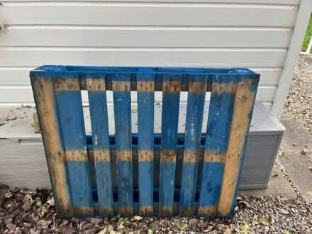 Photo of free Wooden pallet (Killinghall HG3) #1