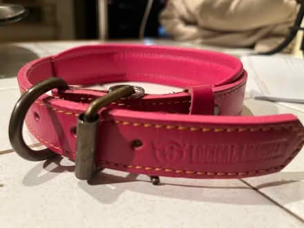 Photo of free Leather dog collar (Chevy Chase DC) #1
