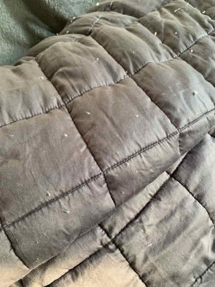 Photo of free Weighted Blanket (Queen's Park BN2) #3