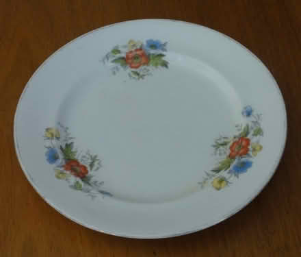 Photo of free Bone China Plate. (Hoylake CH47) #2