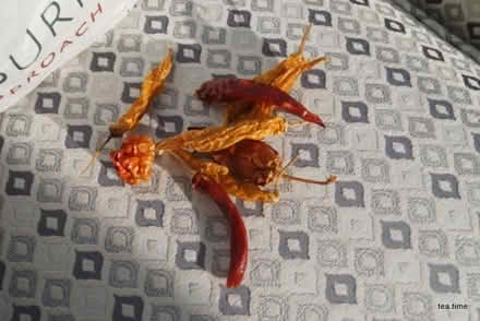 Photo of free Dried Chillies - Homegrown (Purley on Thames RG31) #1
