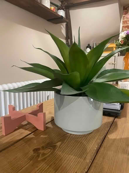 Photo of free Fake plant in pot, with stand (Barford NR9) #2