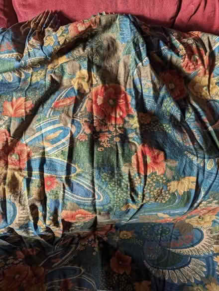 Photo of free Vintage curtains (Churchend RG30) #1