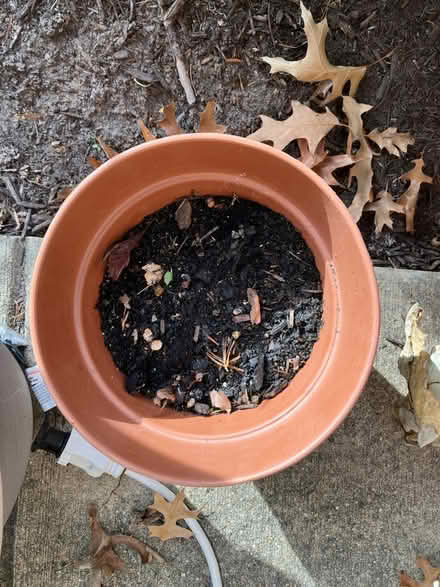 Photo of free pots and planters (Wheaton, MD) #4