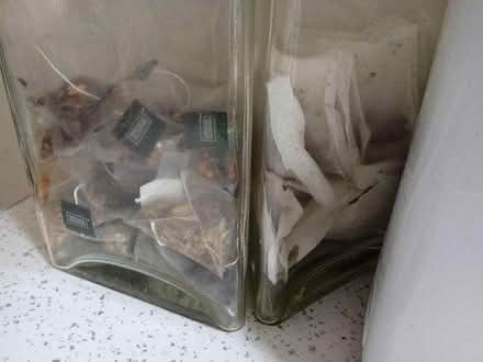 Photo of free Fruit teas (WA10) #1