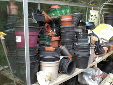 Photo of free Plant Pots (Mainstone SY9) #1