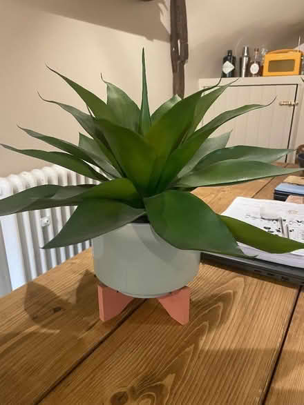 Photo of free Fake plant in pot, with stand (Barford NR9) #1