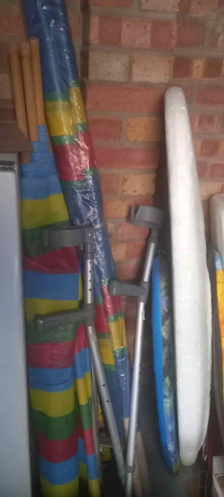 Photo of free windbreaks (bridport) #1