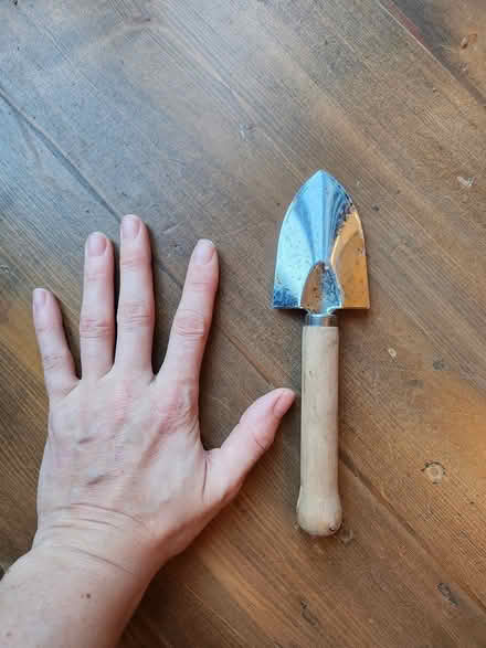 Photo of free Mini trowel (SO22 winchester) #1