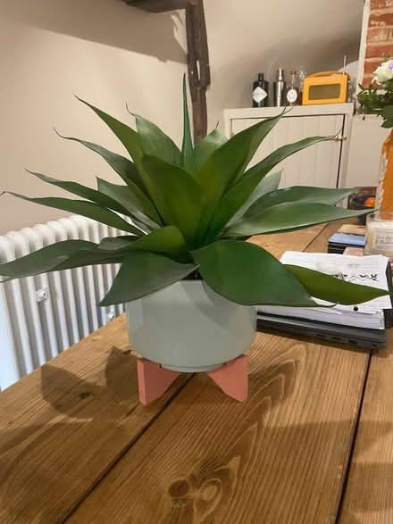 Photo of free Fake plant in pot, with stand (Barford NR9) #3