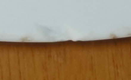 Photo of free 20cm Decorated plate. (Hoylake CH47) #1