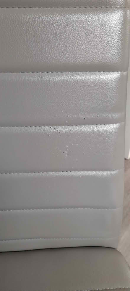Photo of free 4 Kitchen/ Dining Room Chairs (Solihull) #2