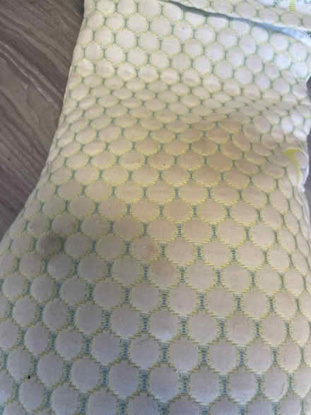 Photo of free Pregnancy/ Orthopedic Body Pillow (South Pasadena/ West St. Pete) #3
