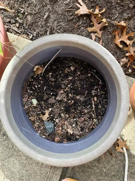 Photo of free pots and planters (Wheaton, MD) #3