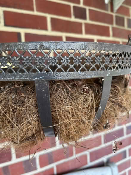 Photo of free Hanging basket for plants (Chinquapin Park) #2