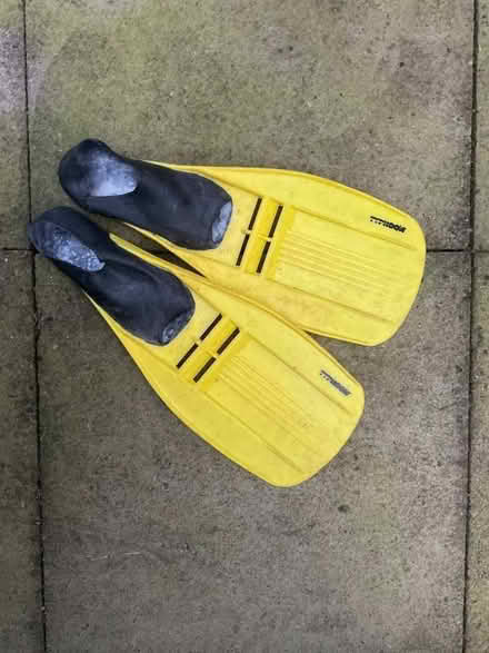 Photo of free Fins size 5-6 ladies. (Witherslack LA11) #1