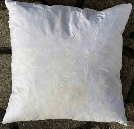 Photo of free Pair feather cushions (Old Town SG1) #2