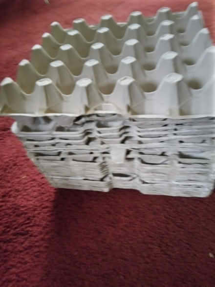 Photo of free Egg trays (Low Utley BD20) #1
