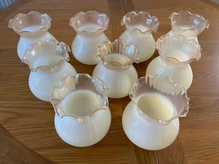 Photo of free Glass Lampshades (Normandy nr Guildford GU3) #2