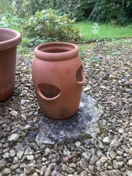 Photo of free Ceramic strawberry pot (Burleigh GL5) #1