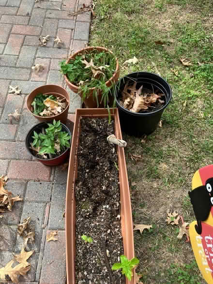 Photo of free pots and planters (Wheaton, MD) #1