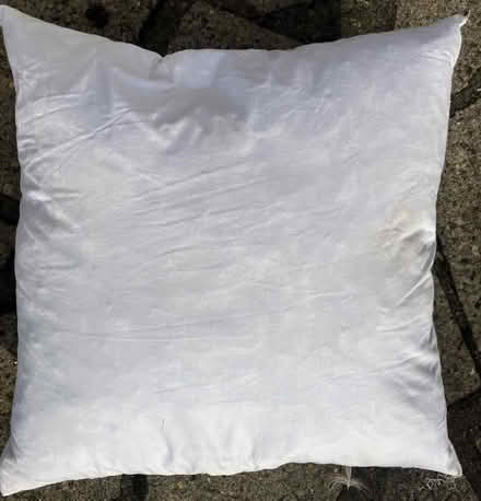 Photo of free Pair feather cushions (Old Town SG1) #1
